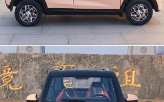 老年代步四轮油电两用车