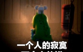 一个人的寂寞两个人的错mp3