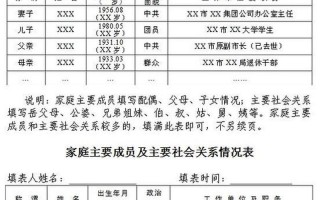 主要社会关系怎么填