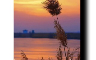 当一艘船沉入海底是什么歌