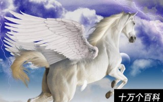 天马行空是什么意思