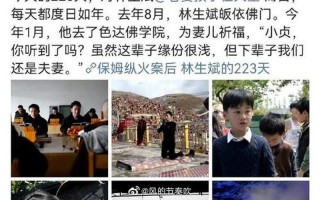 杭州保姆纵火案男主