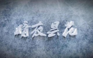 普法栏目剧暗夜昙花