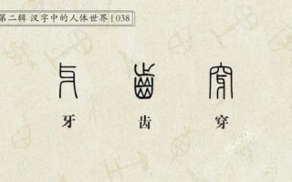 序齿排班是什么意思
