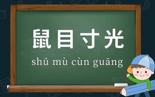鼠目寸光的反义词