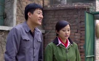 我的二哥二嫂评价