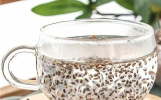 奇亚籽是什么东西