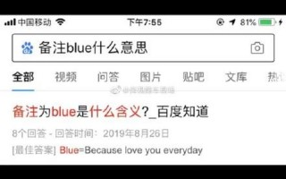 remarks是什么意思