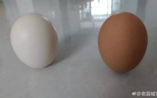 竖蛋是用生鸡蛋还是熟鸡蛋