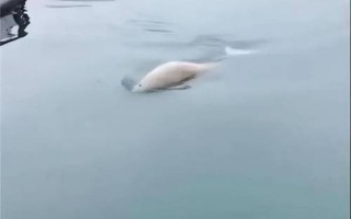 雅安疫情最新消息今天封城了