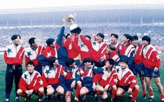 中国男足唯一一次世界杯