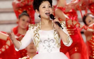 董文华为什么身败名
