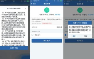 12123当天就查到违章了