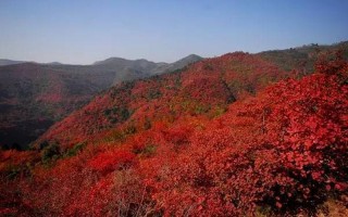 红叶香山在什么地方