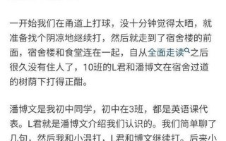 潘博文事件作者澄清