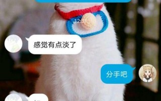 女朋友会锦鲤吸水不舍得分手