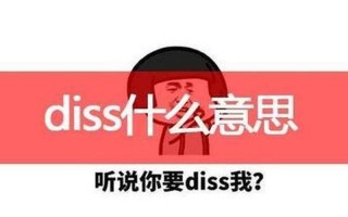 diss是什么意思中文