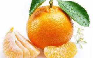 橘子含有维生素c吗
