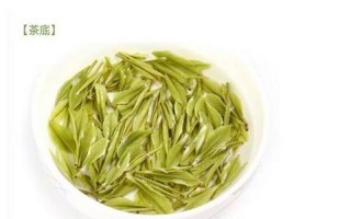 黄浦江源安吉白茶