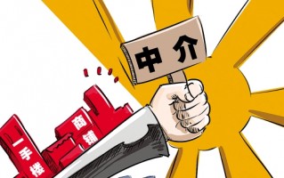 alliance是哪个中介(alliance怎么读)