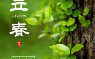 2020年2月4日几点立春