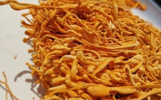 冬虫夏草花的功效