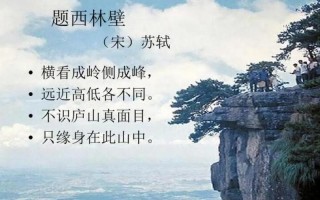 不识庐山真面目的下一句