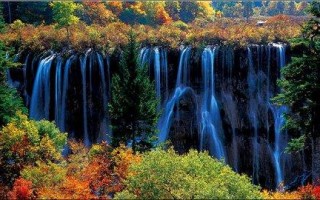 九寨沟的所有资料(收集关于九寨沟的资料)