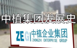 中植系背后的靠山是李