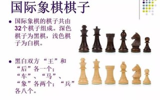 国际象棋快速入门