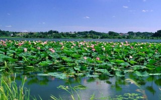 天津到白洋淀旅游