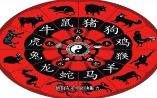 鹏程万里打一个生肖