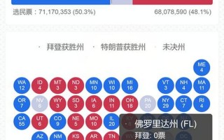 2020美国大选投票直播