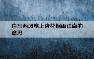 白马西风塞上杏花烟雨江南的意思