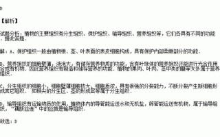 藕断丝连的丝属于什么组织？
