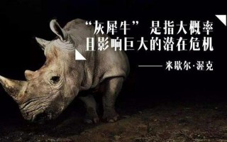 黑天鹅灰犀牛事件是什么意思