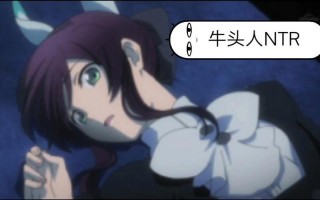ntr是什么意思 *** 用语