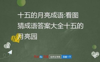 十五的月亮打一个成语