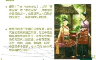 傣族的特点和风俗