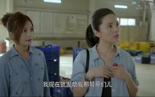 虎妈猫爸唐琳结局