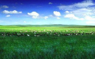 内蒙古乌拉特前旗有草原吗(内蒙古乌拉特前旗天天快递在哪)