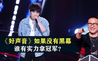 2013中国好声音冠军