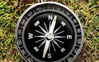 大自然的指南针有什么