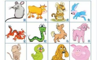 花圈是特马猜一生肖