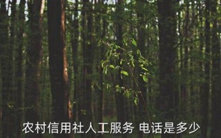 农村信用社95566人工服务