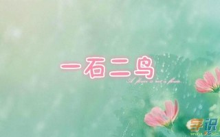 一石二鸟打一数字