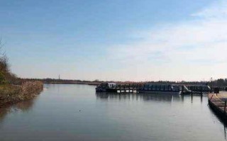 崇明东滩湿地公园有什么景点(崇明岛东滩湿地到西沙湿地公园有多远)