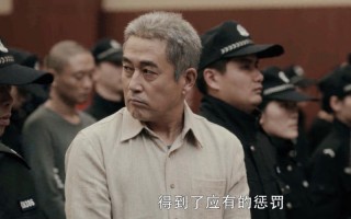 扫黑风暴李成阳是好的嘛