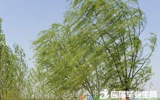 春风拂面是什么意思