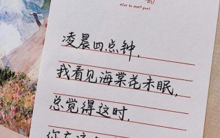 凌晨四点海棠花未眠下一句